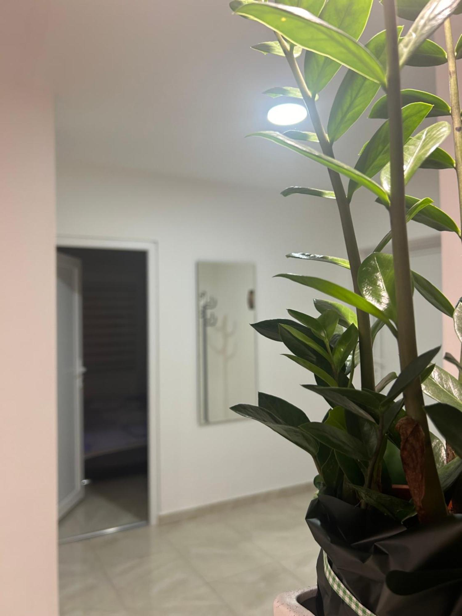 Apartman Diamond Lux Surčin エクステリア 写真
