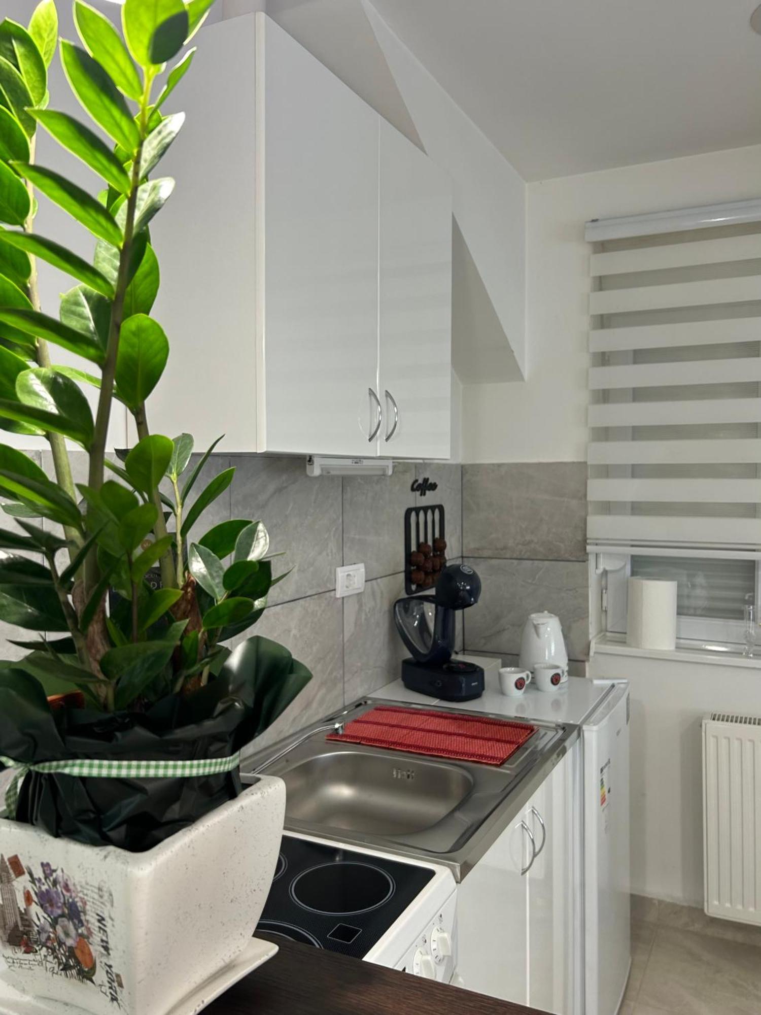 Apartman Diamond Lux Surčin エクステリア 写真